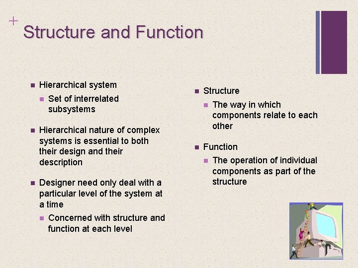 + Structure and Function n Hierarchical system n n n Set of interrelated subsystems