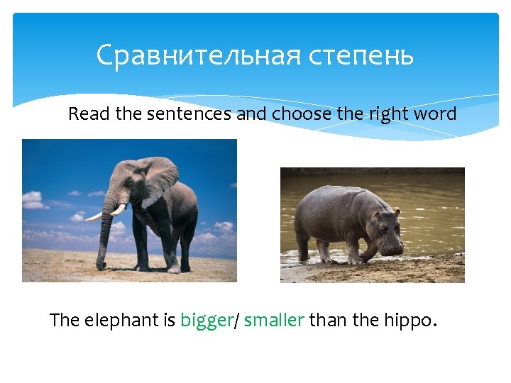 Сравнительная степень Read the sentences and choose the right word The elephant is bigger/
