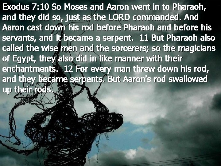 Exodus 7: 10 So Moses and Aaron went in to Pharaoh, and they did