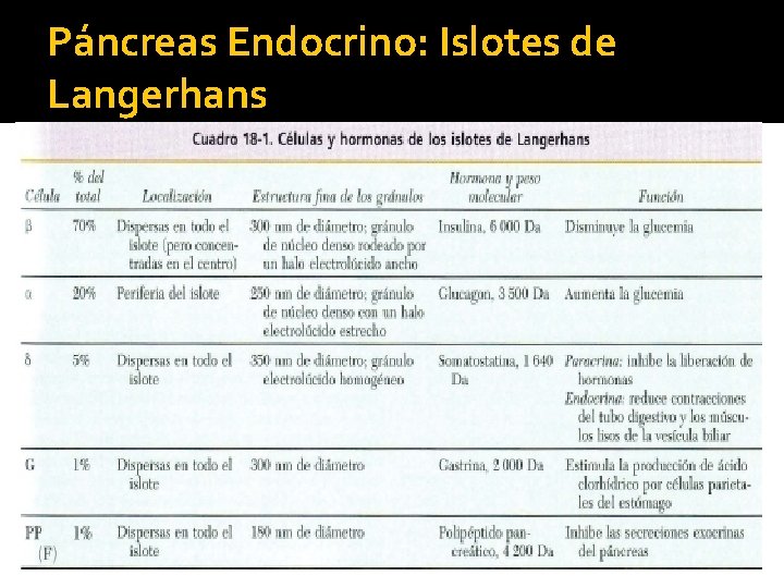Páncreas Endocrino: Islotes de Langerhans 