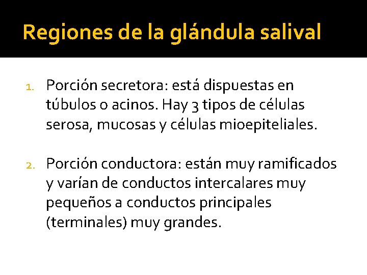 Regiones de la glándula salival 1. Porción secretora: está dispuestas en túbulos o acinos.