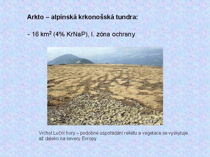 Arkto – alpínská krkonošská tundra: - 16 km 2 (4% Kr. Na. P), I.