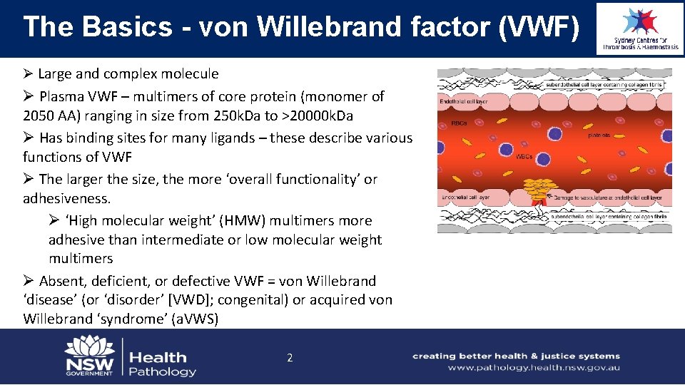 Laboratory testing for von Willebrand disease Emmanuel J