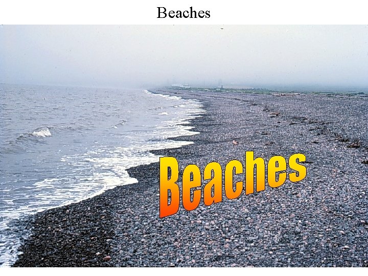 Beaches 
