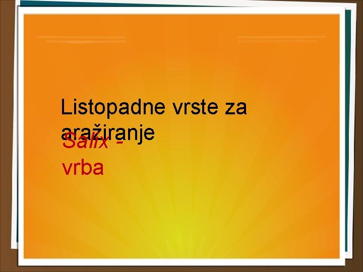 Listopadne vrste za aražiranje Salix - vrba 