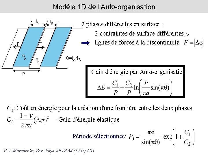 Modéle 1 D de l’Auto-organisation 2 phases différentes en surface : 2 contraintes de