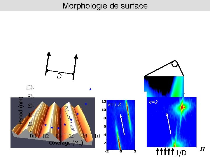 Morphologie de surface acet ov. f Ag c Period (nm) D k=1. 8 L