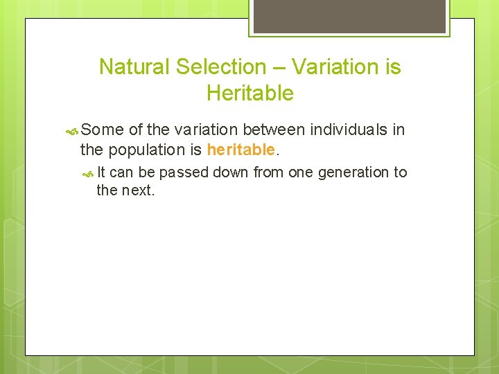 Natural Selection – Variation is Heritable Some of the variation between individuals in the