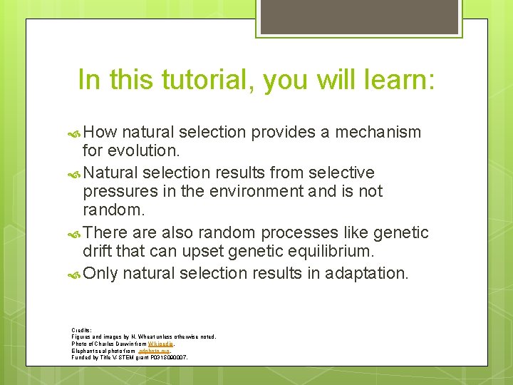 In this tutorial, you will learn: How natural selection provides a mechanism for evolution.