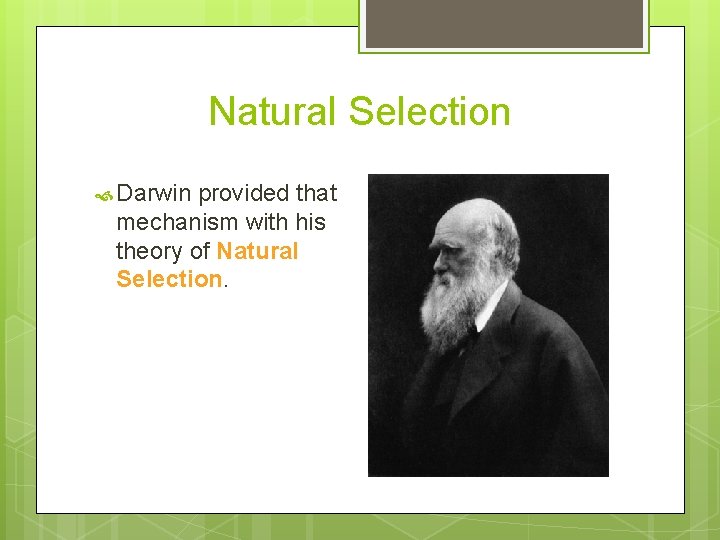 Natural Selection Darwin provided that mechanism with his theory of Natural Selection. 