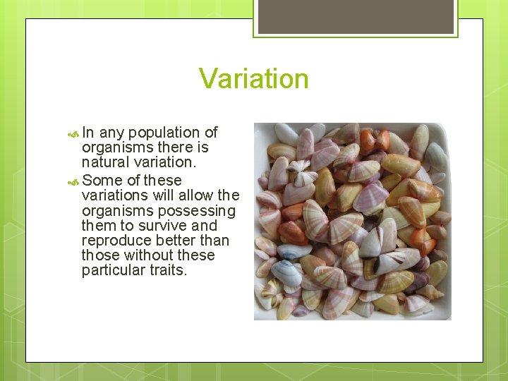 Variation In any population of organisms there is natural variation. Some of these variations