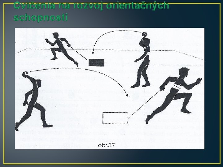 Cvičenia na rozvoj orientačných schopností 