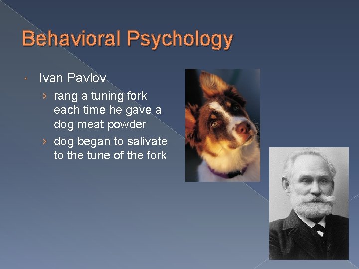 Behavioral Psychology Ivan Pavlov › rang a tuning fork each time he gave a