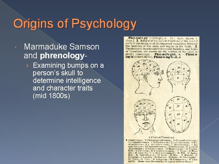 Origins of Psychology Marmaduke Samson and phrenology› Examining bumps on a person’s skull to