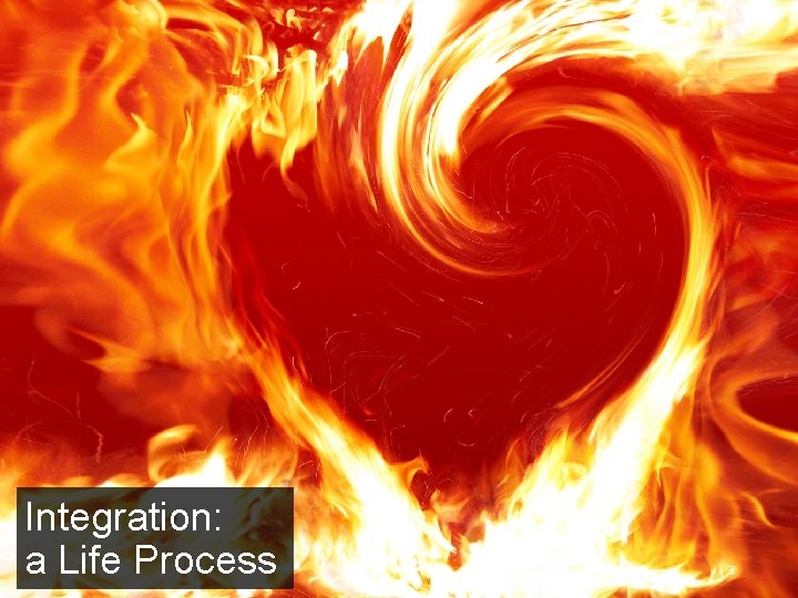 Integration: a Life Process 3 Integration: a Life Process 3