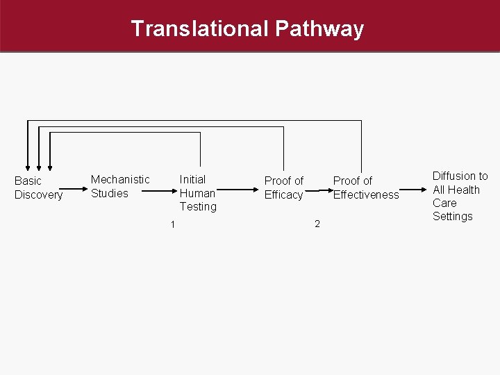 Translational Pathway Basic Discovery Mechanistic Studies Initial Human Testing 1 Proof of Efficacy Proof Translational Pathway Basic Discovery Mechanistic Studies Initial Human Testing 1 Proof of Efficacy Proof