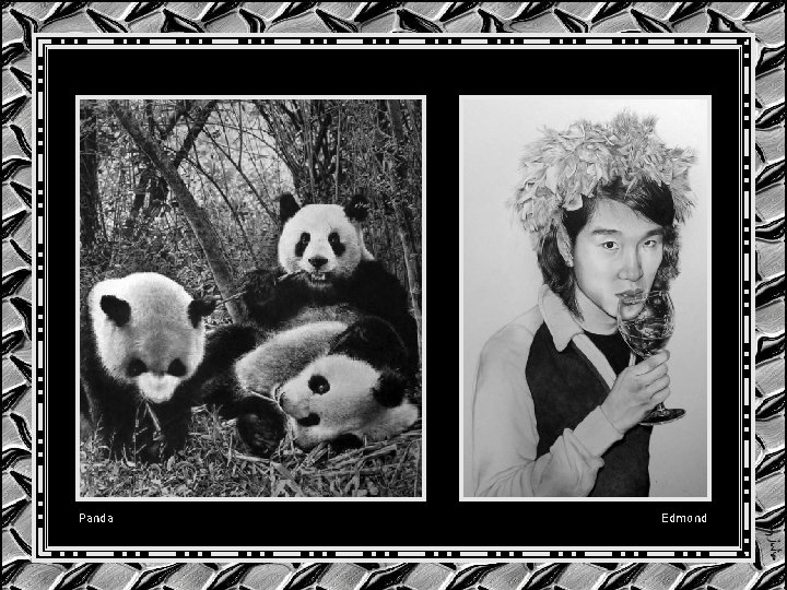 Panda Edmond Panda Edmond
