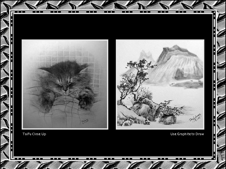Tai. Fu Close Up Use Graphite to Draw Tai. Fu Close Up Use Graphite to Draw