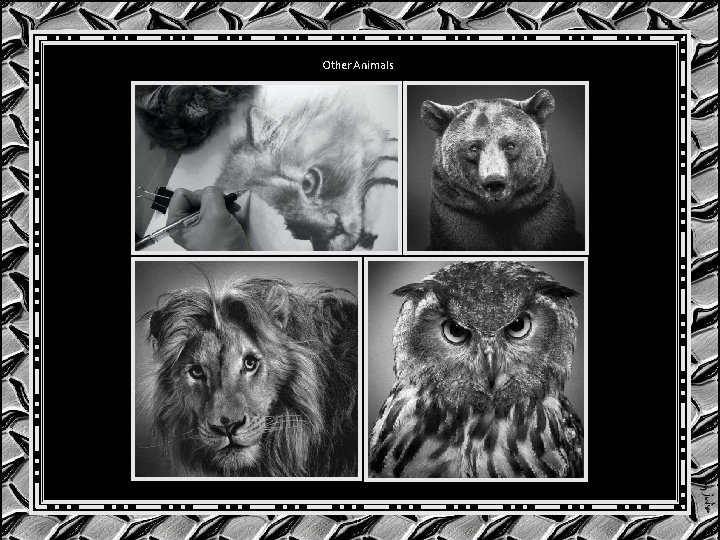 Other Animals Other Animals