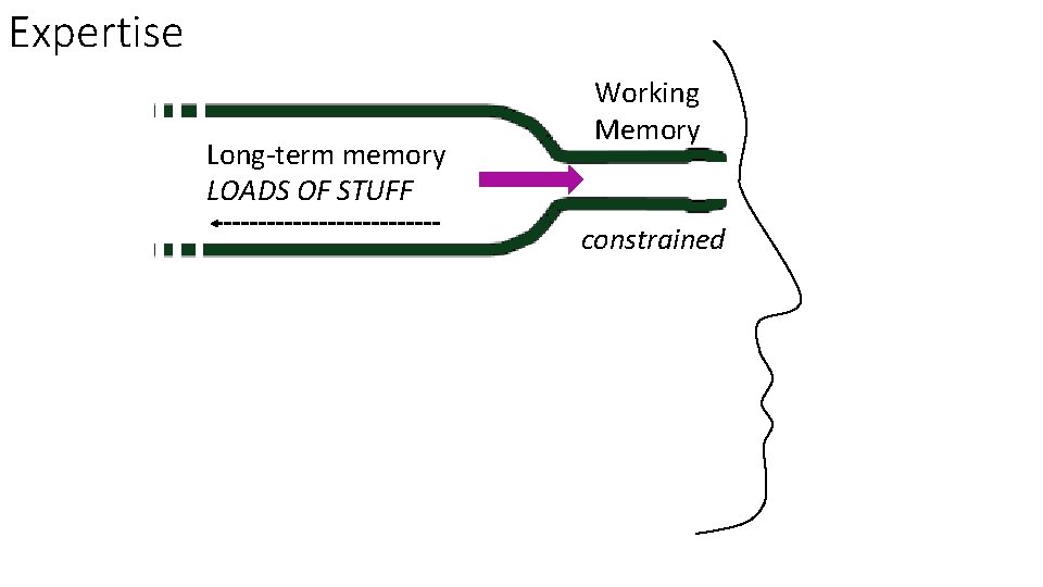 Expertise Long-term memory LOADS OF STUFF Working Memory constrained 