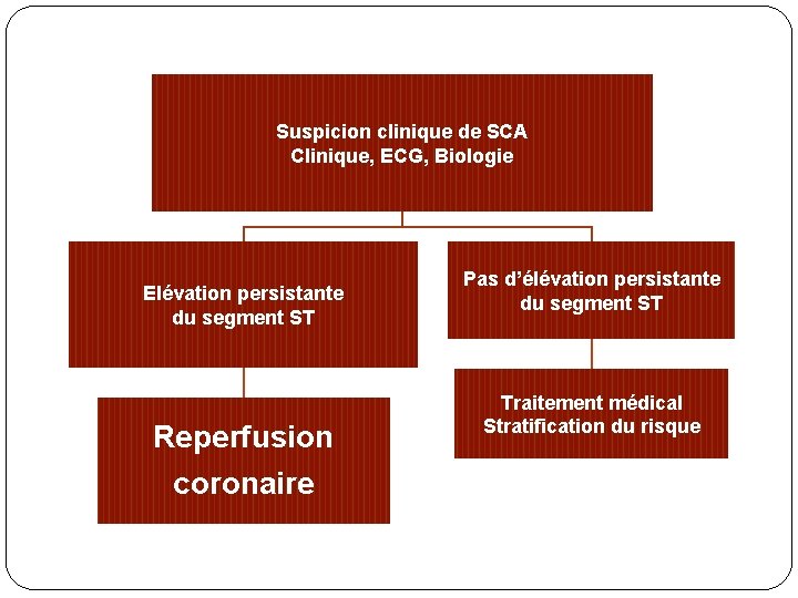 Suspicion clinique de SCA Clinique, ECG, Biologie Elévation persistante du segment ST Reperfusion coronaire