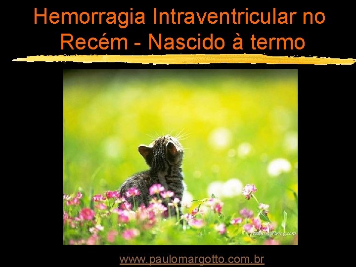 Hemorragia Intraventricular no Recém - Nascido à termo www. paulomargotto. com. br 