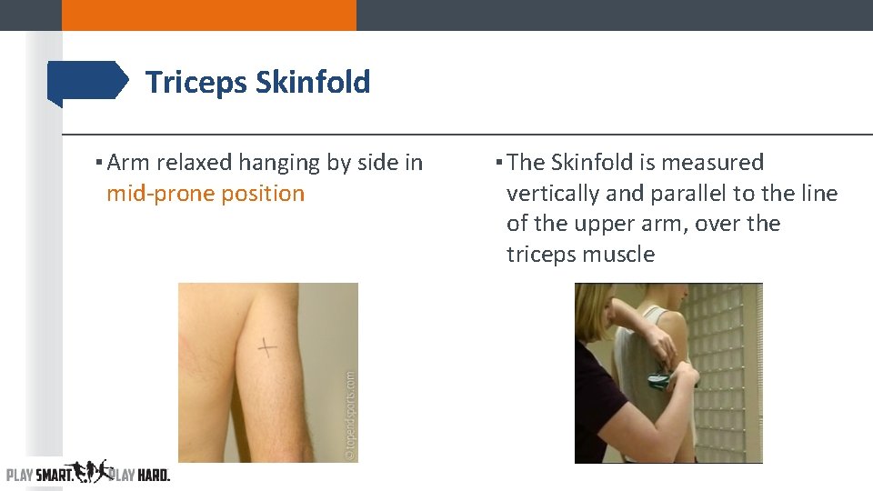 Triceps Skinfold ▪ Arm relaxed hanging by side in mid-prone position ▪ The Skinfold Triceps Skinfold ▪ Arm relaxed hanging by side in mid-prone position ▪ The Skinfold