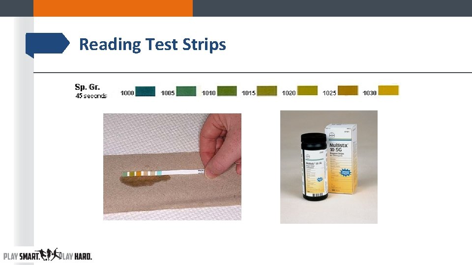 Reading Test Strips Reading Test Strips