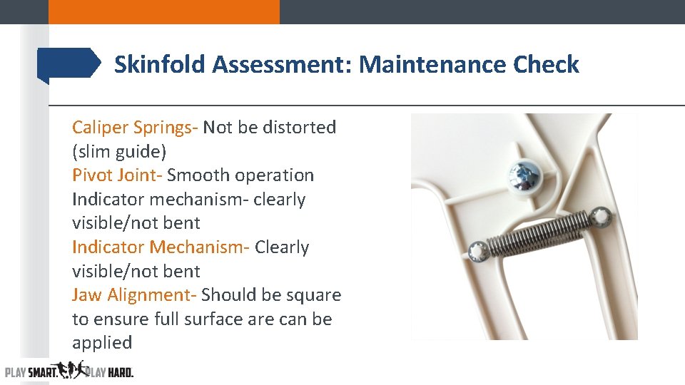 Skinfold Assessment: Maintenance Check Caliper Springs- Not be distorted (slim guide) Pivot Joint- Smooth Skinfold Assessment: Maintenance Check Caliper Springs- Not be distorted (slim guide) Pivot Joint- Smooth