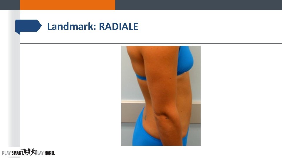 Landmark: RADIALE Landmark: RADIALE