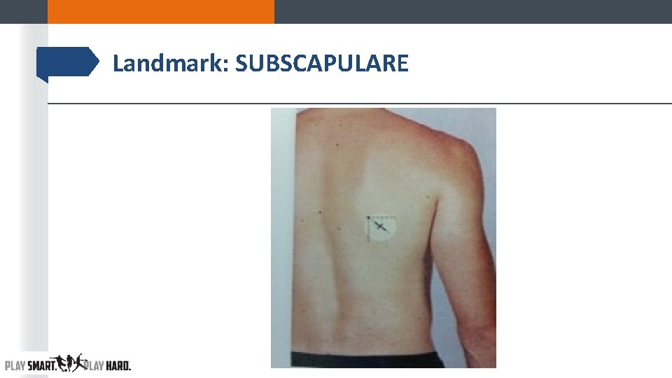 Landmark: SUBSCAPULARE Landmark: SUBSCAPULARE