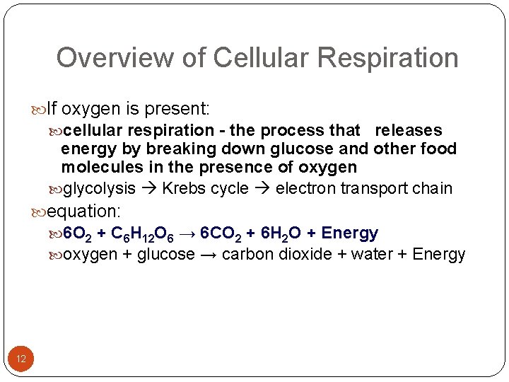 Overview of Cellular Respiration If oxygen is present: cellular respiration - the process that