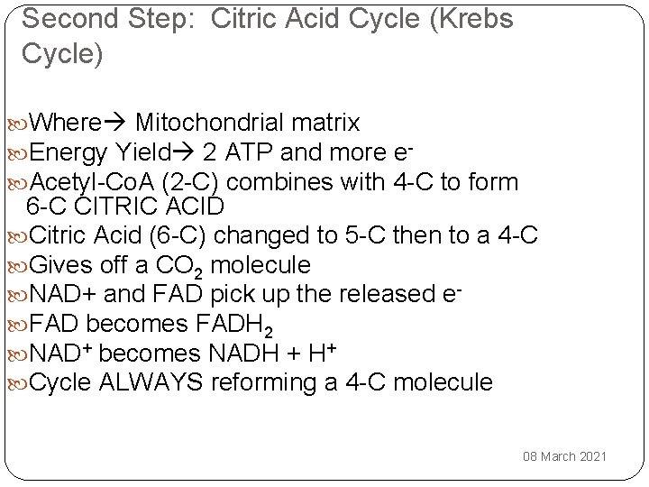 Second Step: Citric Acid Cycle (Krebs Cycle) Where Mitochondrial matrix Energy Yield 2 ATP