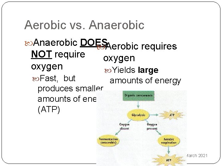 Aerobic vs. Anaerobic DOES Aerobic requires NOT require oxygen Fast, but oxygen Yields large