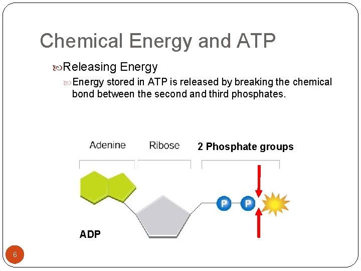 Chemical Energy and ATP Releasing Energy stored in ATP is released by breaking the
