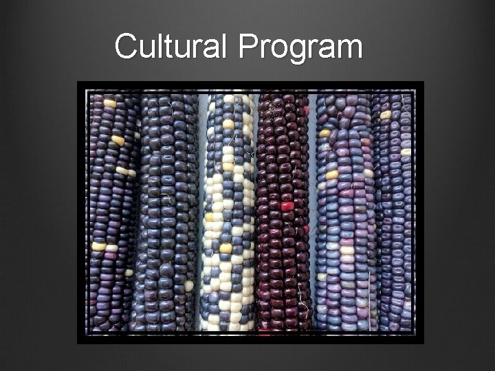 Cultural Program 