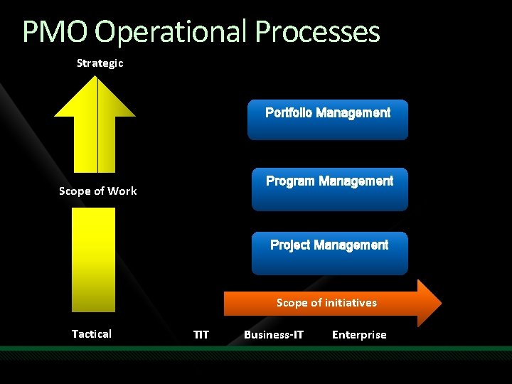 PMO Operational Processes Strategic Portfolio Management Program Management Scope of Work Project Management Scope