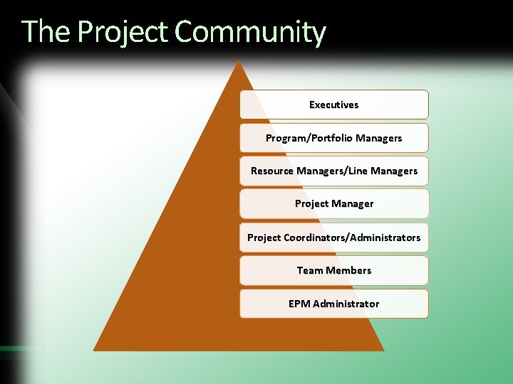 The Project Community Executives Program/Portfolio Managers Resource Managers/Line Managers Project Manager Project Coordinators/Administrators Team