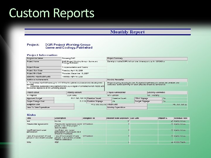 Custom Reports 