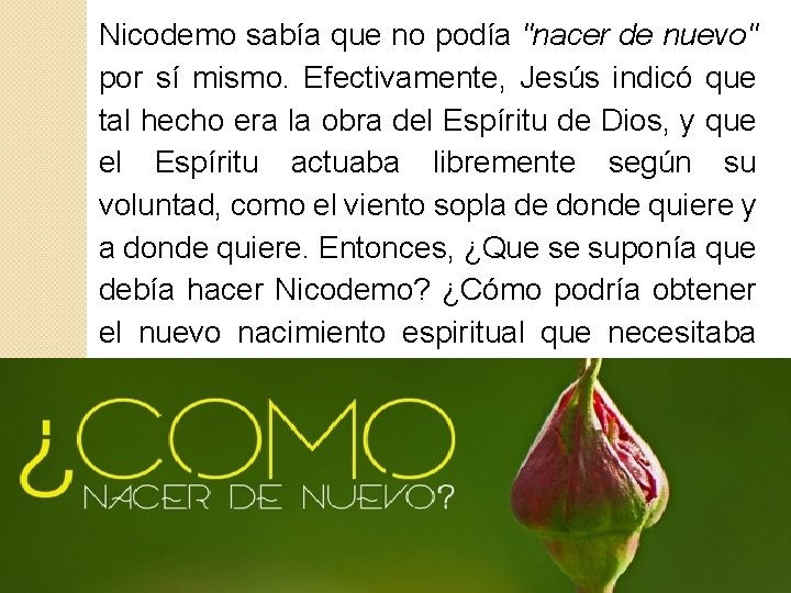 Nicodemo sabía que no podía "nacer de nuevo" por sí mismo. Efectivamente, Jesús Nicodemo sabía que no podía "nacer de nuevo" por sí mismo. Efectivamente, Jesús