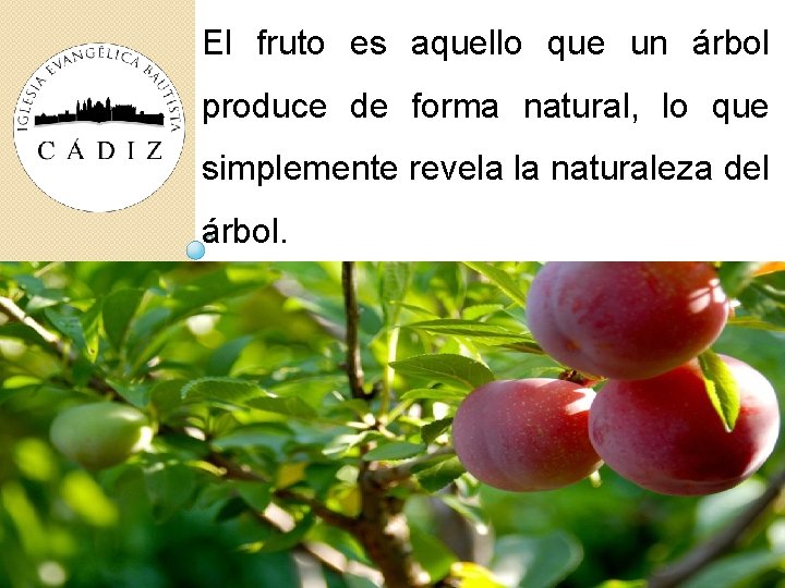 El fruto es aquello que un árbol produce de forma natural, lo que simplemente El fruto es aquello que un árbol produce de forma natural, lo que simplemente