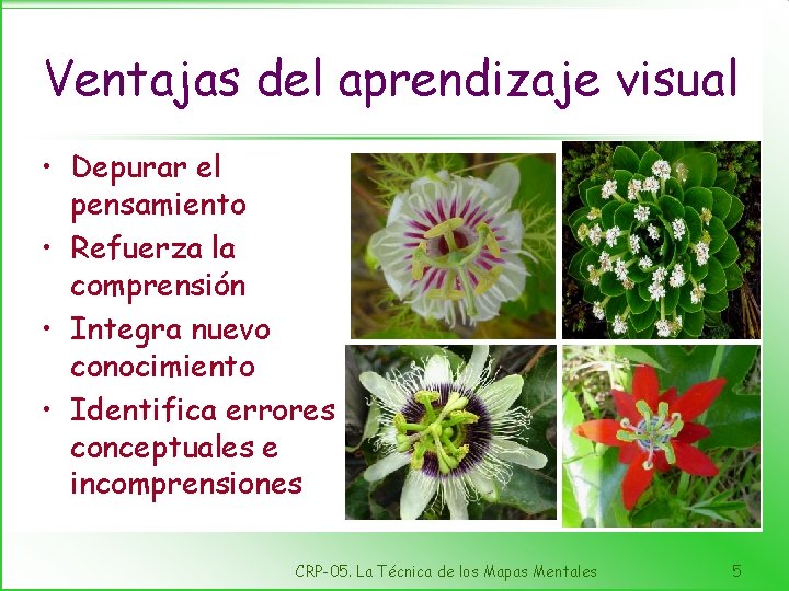 Ventajas del aprendizaje visual • Depurar el pensamiento • Refuerza la comprensión • Integra