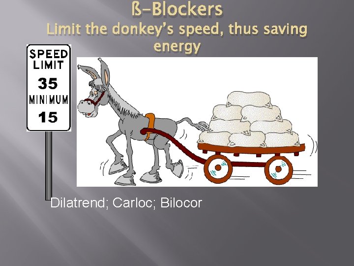 ß-Blockers Limit the donkey’s speed, thus saving energy Dilatrend; Carloc; Bilocor 