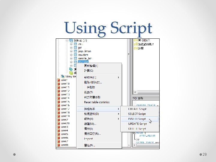 Using Script 29 Using Script 29