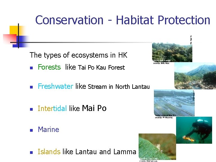 Conservation - Habitat Protection The types of ecosystems in HK n Forests like Tai