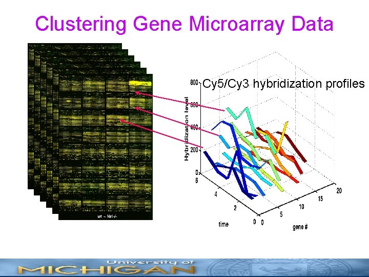 Clustering Gene Microarray Data Cy 5/Cy 3 hybridization profiles 