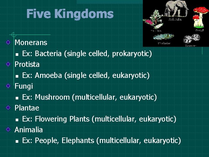 Five Kingdoms Monerans n Ex: Bacteria (single celled, prokaryotic) Protista n Ex: Amoeba (single Five Kingdoms Monerans n Ex: Bacteria (single celled, prokaryotic) Protista n Ex: Amoeba (single