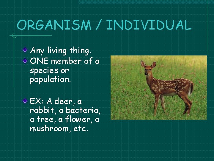 ORGANISM / INDIVIDUAL Any living thing. ONE member of a species or population. EX: ORGANISM / INDIVIDUAL Any living thing. ONE member of a species or population. EX: