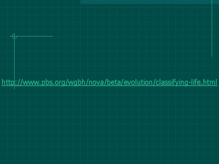 http: //www. pbs. org/wgbh/nova/beta/evolution/classifying-life. html http: //www. pbs. org/wgbh/nova/beta/evolution/classifying-life. html