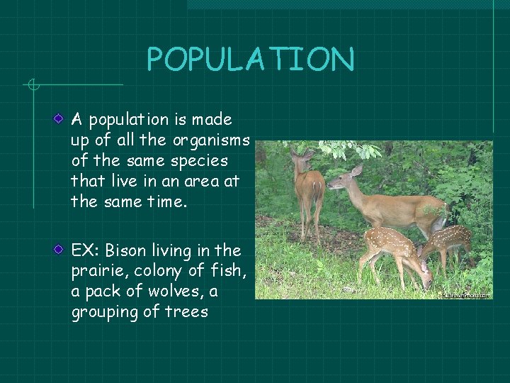 POPULATION A population is made up of all the organisms of the same species POPULATION A population is made up of all the organisms of the same species
